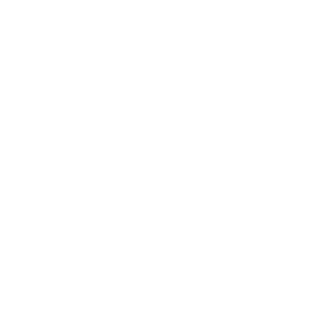 ecommerce platform - Ecwid logo