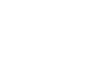 ecommerce platform - SquareSpace logo